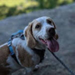 Meet your Posher, Matt